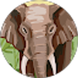 Profile photo of Claude Cochran