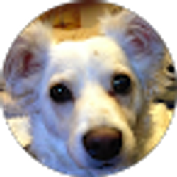 Profile photo of JJ Ice