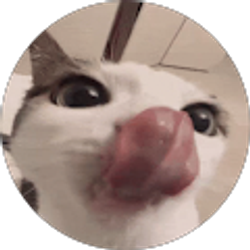 Profile photo of Matthew Jones