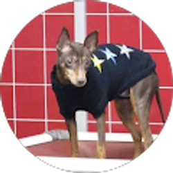 Profile photo of Chanel S