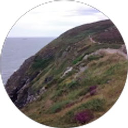 Profile photo of Krishna Hegde