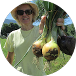 Profile photo of Susan Sutheimer