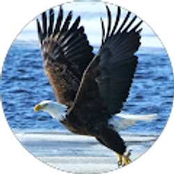 Profile photo of dale curran