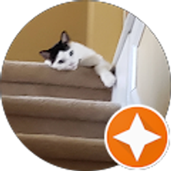 Profile photo of Ali Z Husain