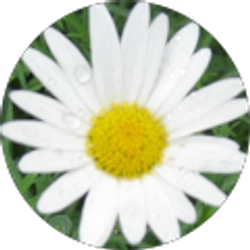 Profile photo of Amy B.