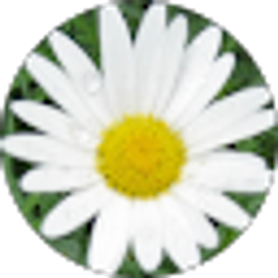 Profile photo of Amy B.