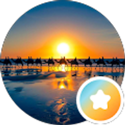 Profile photo of Fuad Warsame