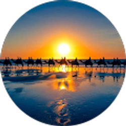 Profile photo of Fuad Warsame