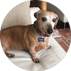 Profile photo of Suzy Carter