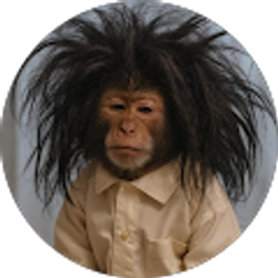 Profile photo of titus sitting up