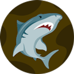 Profile photo of Frank Nuñez