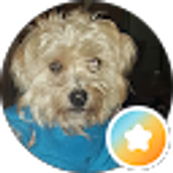 Profile photo of Wendy Nicol