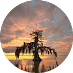 Profile photo of Randall Lee