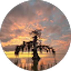 Profile photo of Randall Lee
