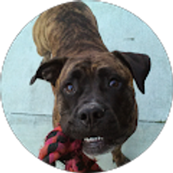 Profile photo of Alan Arnold