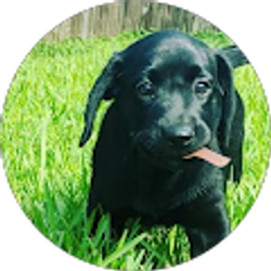 Profile photo of Maxwell Grazecki