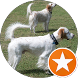 Profile photo of Dee Andelmo