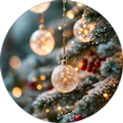 Profile photo of Meidi Rivera