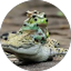 Profile photo of Melanie Imbrogno