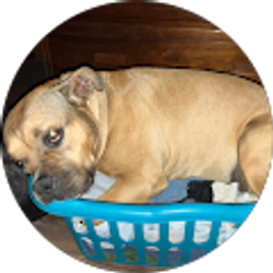 Profile photo of Jon Rohling