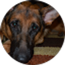 Profile photo of H S