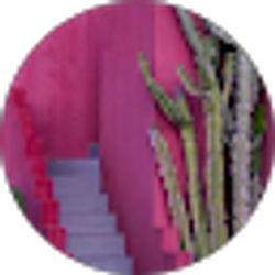 Profile photo of Aida Casas