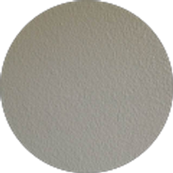 Profile photo of Tony B