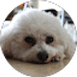 Profile photo of Anthony Namnum