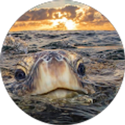 Profile photo of Kim Yarbrough