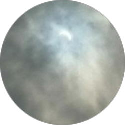 Profile photo of Eric Dobek