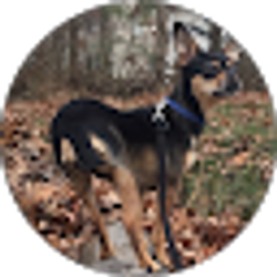 Profile photo of Eve The SD