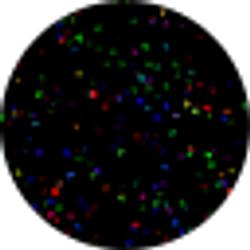 Profile photo of Isaac Dorton