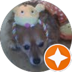 Profile photo of michele harney