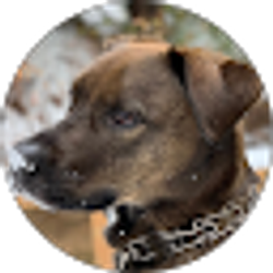 Profile photo of Garrett