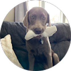 Profile photo of Cody Schwartz