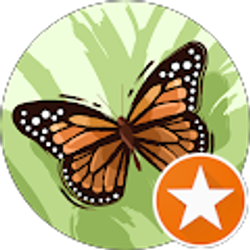 Profile photo of Susan Hendley