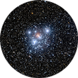 Profile photo of Brandon Stepp