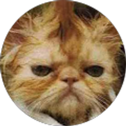 Profile photo of Terry Dactyl