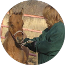 Profile photo of Kim Provost