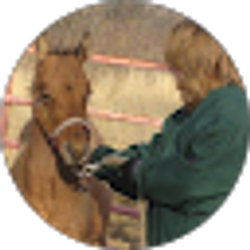 Profile photo of Kim Provost
