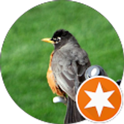 Profile photo of Avi Baram