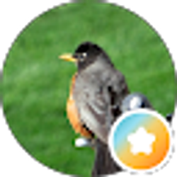 Profile photo of Avi Baram