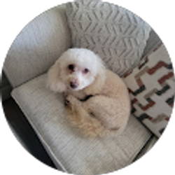 Profile photo of Eduardo Martinez Solis