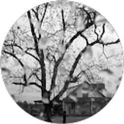 Profile photo of Lizzy Guzman