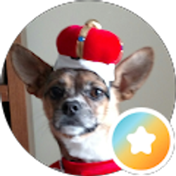 Profile photo of B C