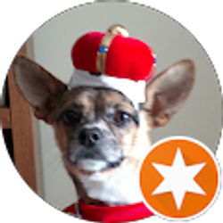 Profile photo of B C