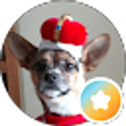 Profile photo of B C