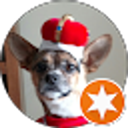 Profile photo of B C