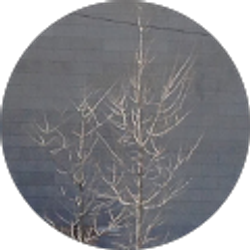 Profile photo of Jason