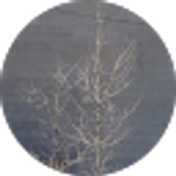 Profile photo of Jason